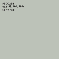#BDC2B8 - Clay Ash Color Image